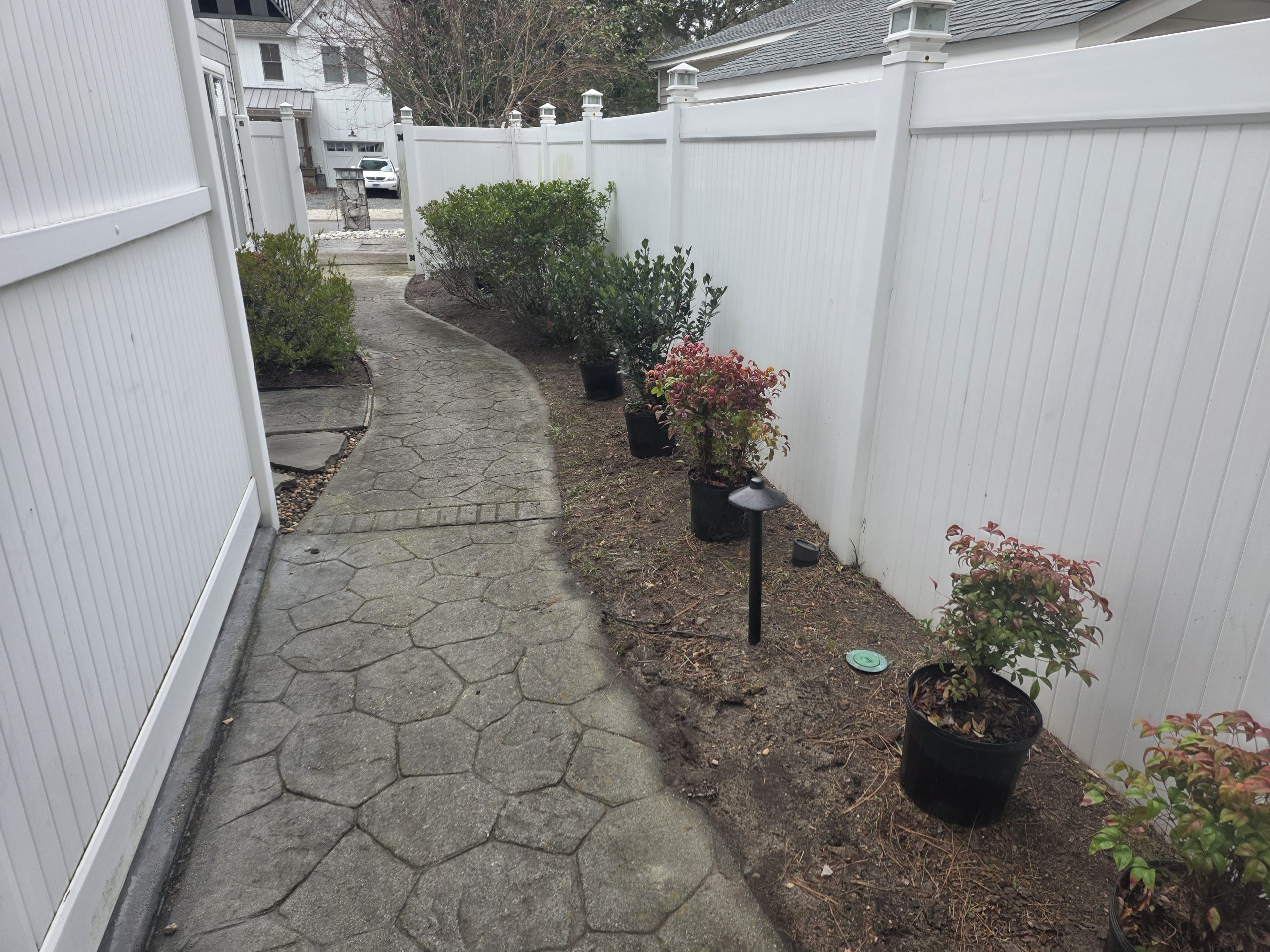 Before image